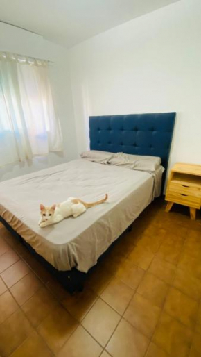 Dpto cómodo en Nueva Cordoba COMPARTIDO
